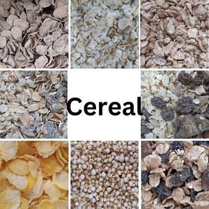  at Lesser Litter in Taunton