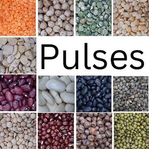  at Lesser Litter in Taunton