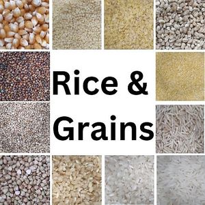  at Lesser Litter in Taunton