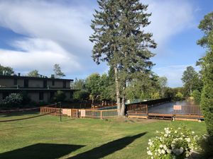 Yoga plateform at Sivananda Ashram Yoga Camp in Val-morin