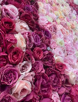 rose wall at Chloé Cafe in Prague