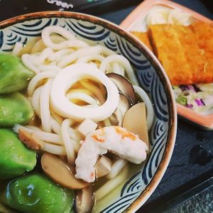 Dumplings Udon with Vegetarian Pork Cutlet 吉列豬扒配餃子讚岐烏冬 at Green Entrance 入素 in New Territories