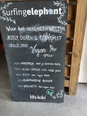   at Surfing Elephant in Wenduine