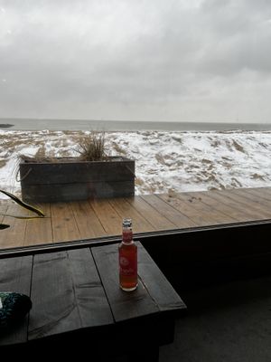   at Surfing Elephant in Wenduine