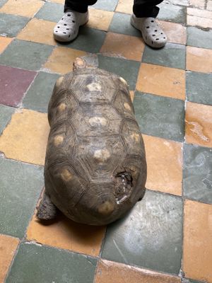   at Delicias Naturales in Popayan