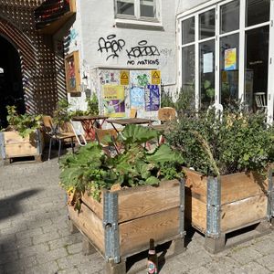 Cosy garden setting  at Café Mellemfolk in Aarhus
