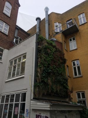 The outside at Café Mellemfolk in Aarhus