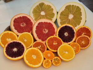  at Haven Market in Livingston Manor