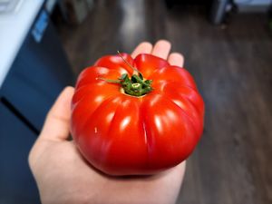  at Haven Market in Livingston Manor