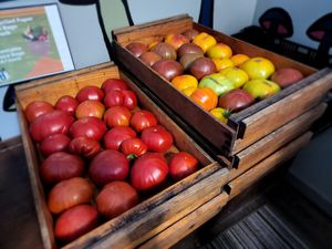  at Haven Market in Livingston Manor