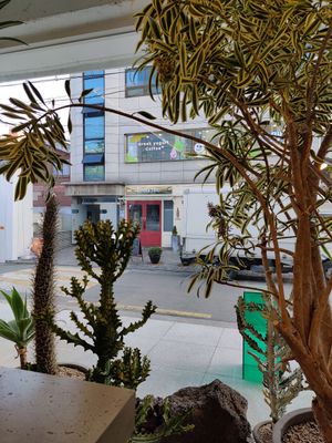  at Super Matcha 슈퍼말차 in Seoul