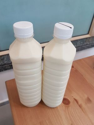 Soy milk at Ching Sum Zai 清心齋 - TKO in New Territories