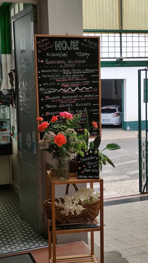  at Casa Sana in Nazare