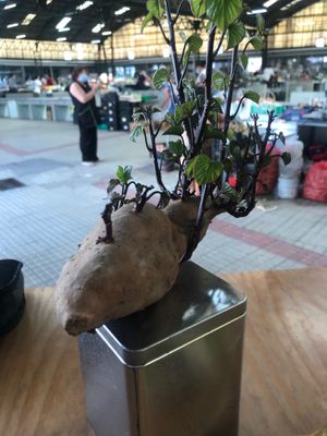 Detail of the seating table  at Casa Sana in Nazare