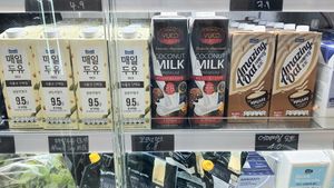 Plant-based milks at Style Vegan - 스타일비건 in Seoul