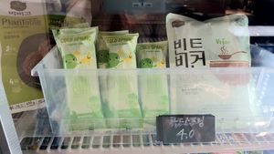 vegan popsicles at Style Vegan - 스타일비건 in Seoul