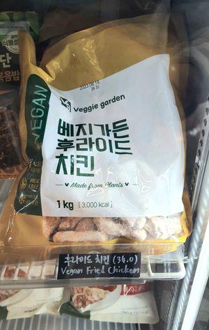 vegan fried chicken at Style Vegan - 스타일비건 in Seoul