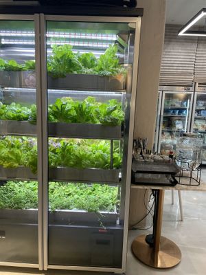   at Style Vegan - 스타일비건 in Seoul