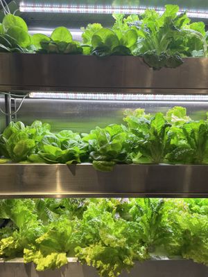   at Style Vegan - 스타일비건 in Seoul