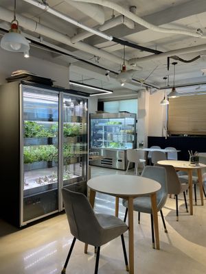   at Style Vegan - 스타일비건 in Seoul