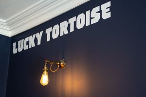 Lucky Tortoise Dumpling Company - Temple Bar. Interior. at Lucky Tortoise Dumpling Company - Temple Bar in Dublin