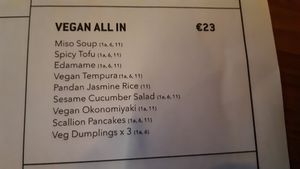 Vegan all in menu - such good value! at Lucky Tortoise Dumpling Company - Temple Bar in Dublin