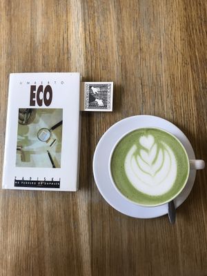   at The Cool Cat in Warsaw