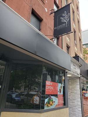 Blossom on University at Blossom Restaurant on University in New York City