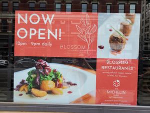 Now Open! at Blossom Restaurant on University in New York City
