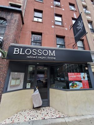 Blossom at Blossom Restaurant on University in New York City