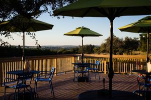 view from the patio at Beerburg Brewing in Austin