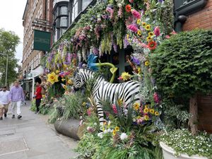 The Ivy Garden   at The Ivy Chelsea Garden in South West London