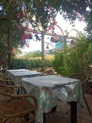  at Ole Ole in Zakynthos