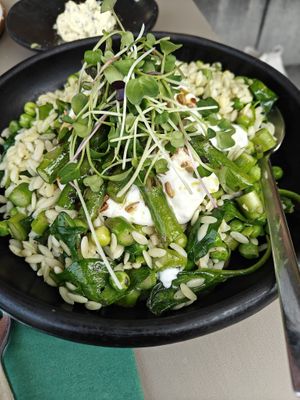 Orzo met groene asperges  at Vangroenten in Hasselt