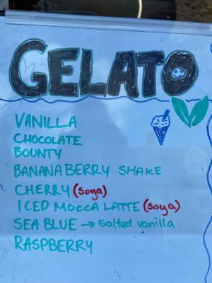 All gelato is vegan 😱 at Pilgrims Fudge Kitchen and Gelateria in Lindisfarne