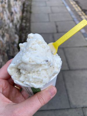 Bounty flavour vegan gelato 🍨  at Pilgrims Fudge Kitchen and Gelateria in Lindisfarne