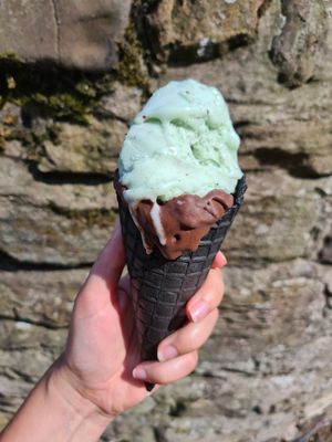 Mint Choc Chip and Mudslide! at Pilgrims Fudge Kitchen and Gelateria in Lindisfarne