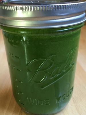 Green house to go at Ecopolitan in Minneapolis