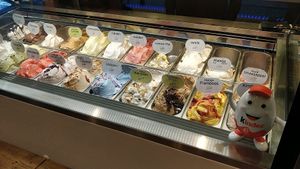 some vegan flavours at Scoops in Breda