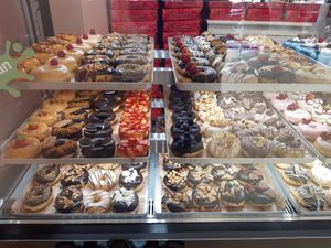 Newly extended vegan selection: 3 trays on the left, bottom try on the right / 50% regular, 50% with filling at Royal Donuts  in Mannheim