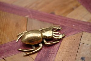 Cute beetle paperweight on the table at Hatena in Tokyo