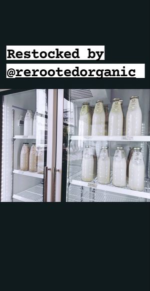 Plant milks by ReRooted Organic at Jar in Plymouth