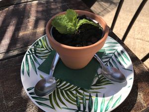 This is a desert! at Restaurante El Albaricoque in Gran Canaria