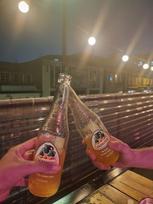 Fruit sodas at El Rayo Vegan Cantina in York
