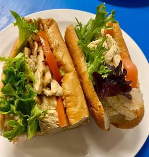 Cheezy Chicken Sub at Earth Based Cafe in Martinsburg