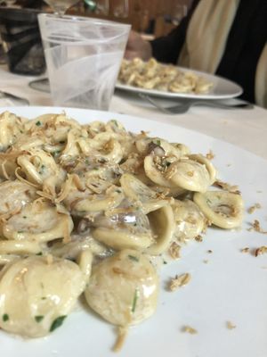 Orecchiette ai funghi porcini e seitan affumicato  at Locanda Zanella in Cavallino-treporti