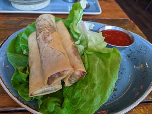 Mushroom spring rolls at Nam Song in Sheffield