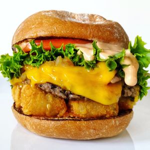 Monty’s Double with Tots at Monty's Good Burger - 3rd St in Los Angeles