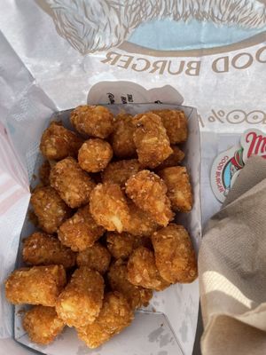 Tanger tots  at Monty's Good Burger - 3rd St in Los Angeles