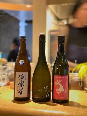 A small selection of nihonshu at Salam in Tokyo